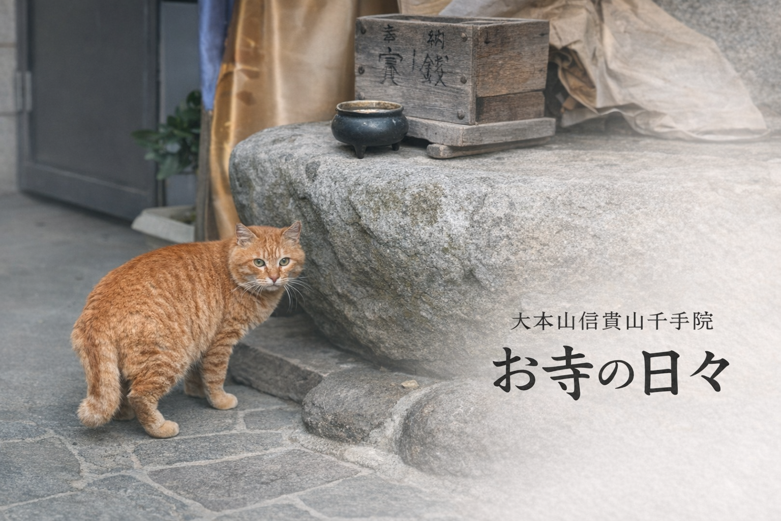 お寺の日々
